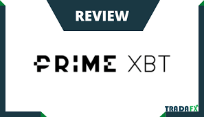 Everything You Need to Know About PrimeXBT Website Everything You Need to Know About PrimeXBT Website