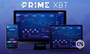 Unlocking the Potential Understanding the PrimeXBT Bonus