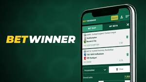 Comprehensive BetWinner Vietnam Review Your Ultimate Guide